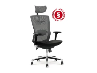 Рабочее кресло Ergonomic AMBASADOR pilt