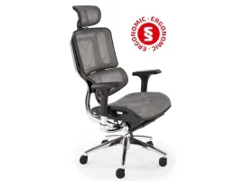 Töötool Ergonomic ETHAN