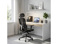 Töötool Ergonomic MATEUS black pilt 13