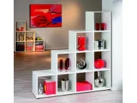 Karp WINNY pilt 4